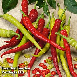 Sweet Pepper Spiralus Seeds