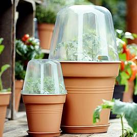 Terracotta Effect Grow Pot + Bell Cover + Saucer