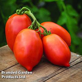 Tomato Big Mama F1 Seeds