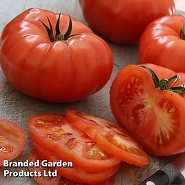 Tomato Supersteak F1 Seeds