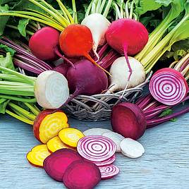 Beetroot Seeds - Rainbow Mix