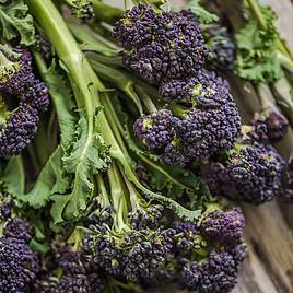 Broccoli Seeds - Purple Sprouting Mix