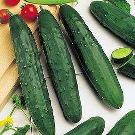 Cucumber Seeds - Marketmore