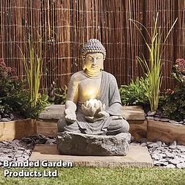 Dobbies solar shop garden lights