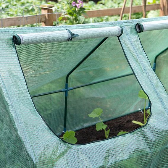 Garden Grow Garden Cloche