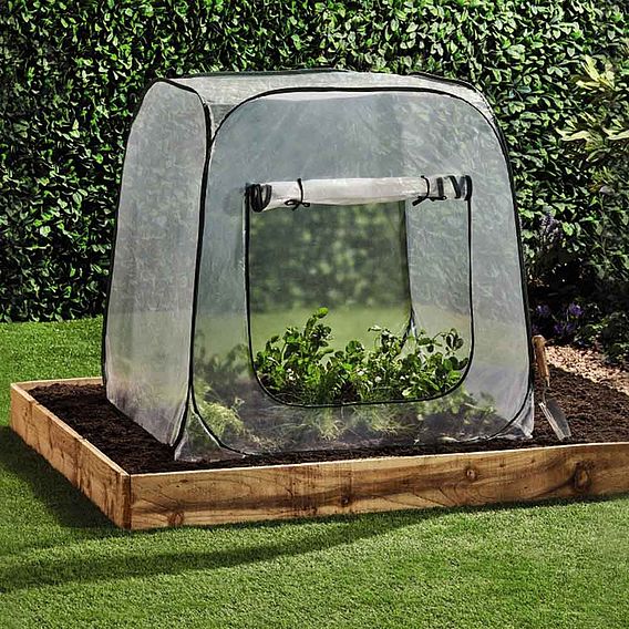 Garden Grow Pop-Up Cloche