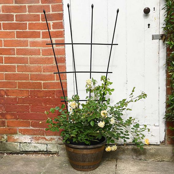 Garden Gear 1.2-Metre Fan Trellis