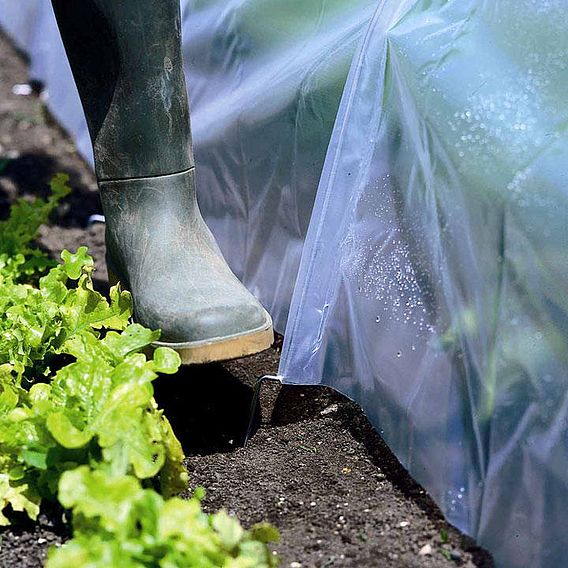 Easy Polytunnel