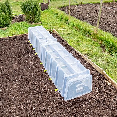 Garden Gear - Pegs for Forcing Tunnels