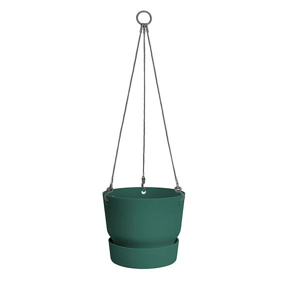 Greenville Hanging Basket