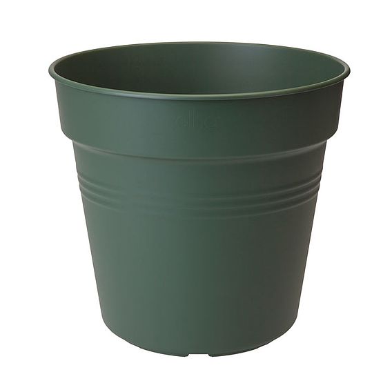 Leaf Green Grow Pot + Bell Cover + Saucer