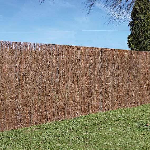 Brushwood Thatch Screen Roll