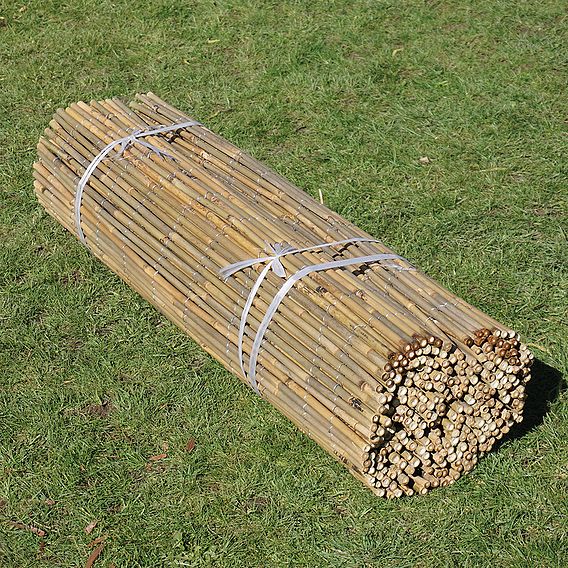 Bamboo Cane Screen Roll