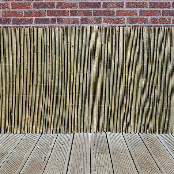 Bamboo Cane Screen Roll