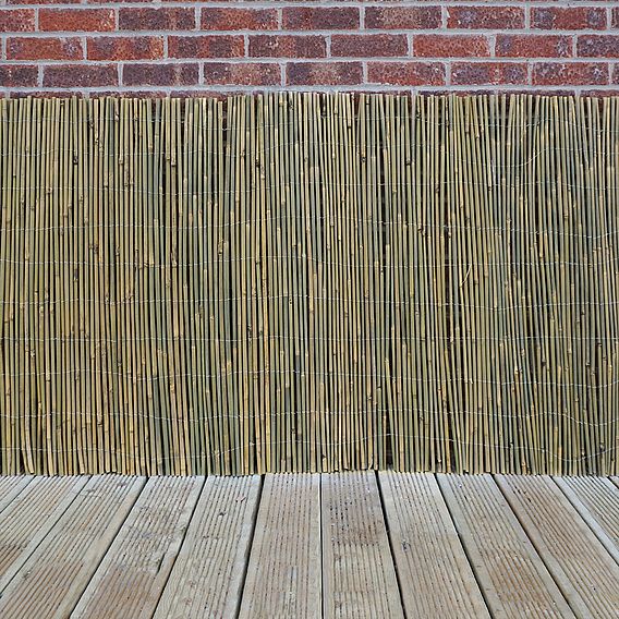 Bamboo Cane Screen Roll