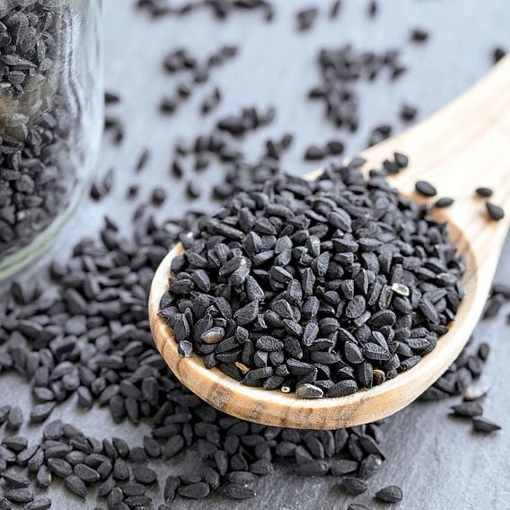 Black Cumin - Organic Herb Seeds