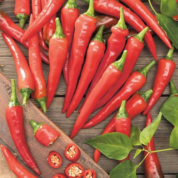 Chilli Pepper 'De Cayenne' - Organic Seeds