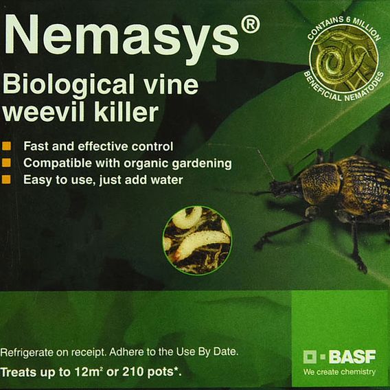 Biological Control - Nematode Vine Weevil Killer 12m² (Spring and Autumn)