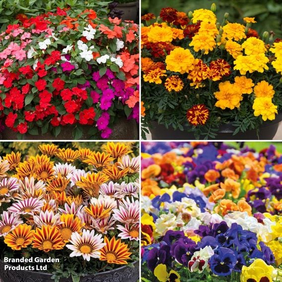 Annual Bedding Saver Collection