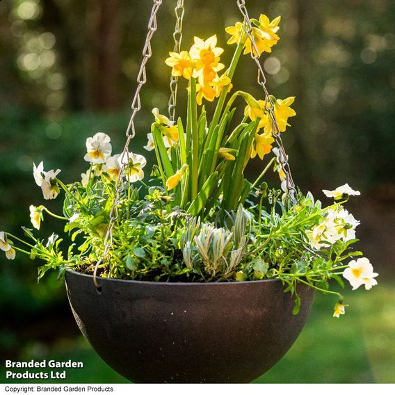 Garden Gear - Charcoal Marble Effect Hanging Basket