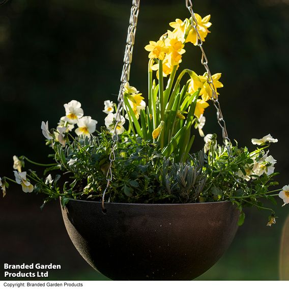 Garden Gear - Charcoal Marble Effect Hanging Basket