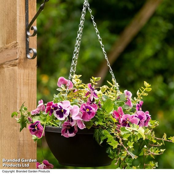 25cm Plastic Hanging Basket