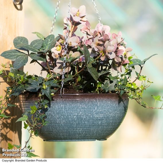 Garden Gear - Blue Breeze Glazed Effect Hanging Basket