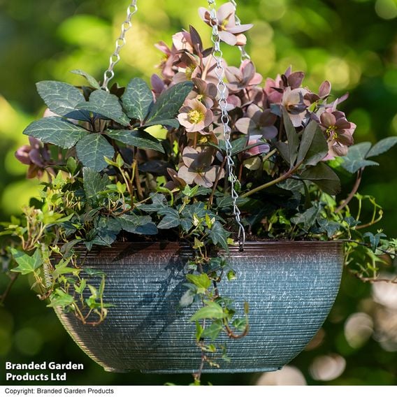 Garden Gear - Blue Breeze Glazed Effect Hanging Basket
