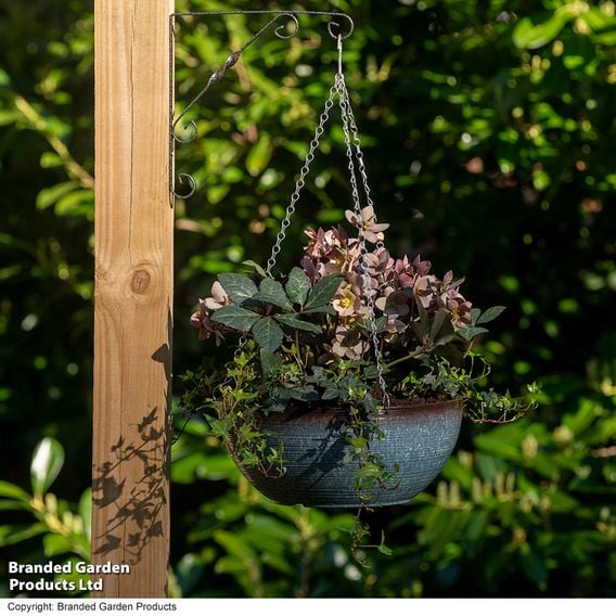 Garden Gear - Blue Breeze Glazed Effect Hanging Basket