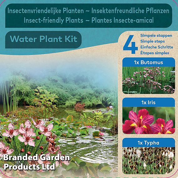 Insects Pond Kit