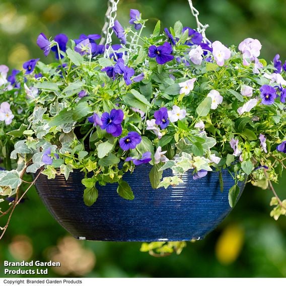 Garden Gear - Ocean Blue Glazed Effect Hanging Basket
