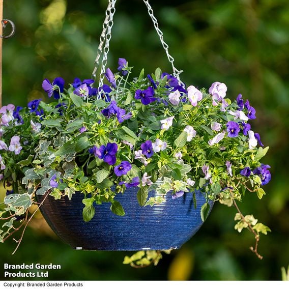 Garden Gear - Ocean Blue Glazed Effect Hanging Basket