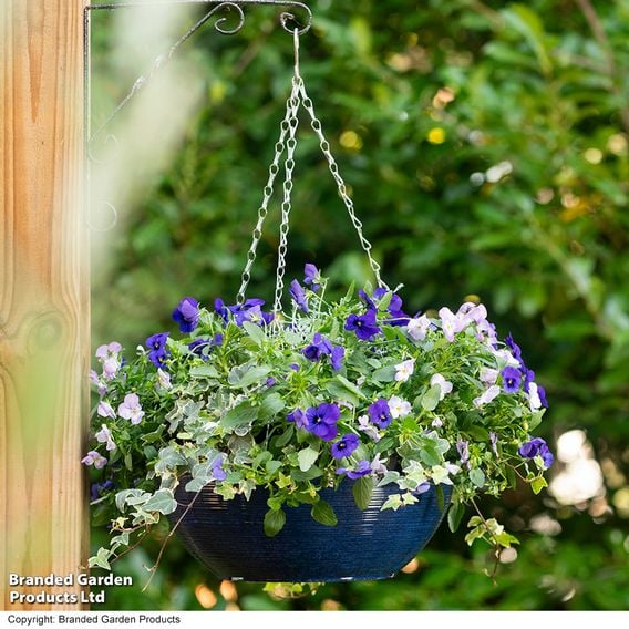 Garden Gear - Ocean Blue Glazed Effect Hanging Basket