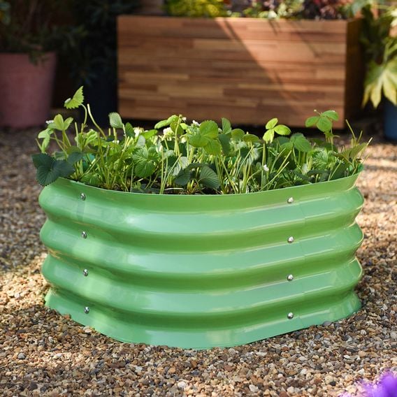 Garden Gear - Metal Raised Bed