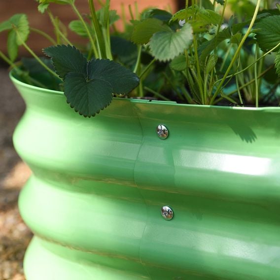 Garden Gear - Metal Raised Bed