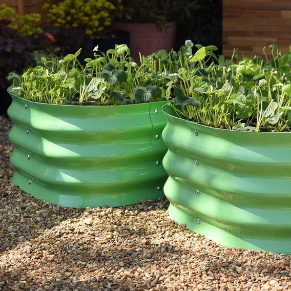 Garden Gear - Metal Raised Bed