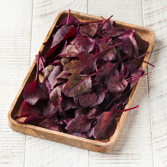 Beetroot 'Bulls Blood' - Seeds