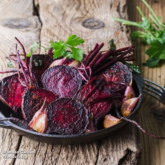 Beetroot 'Detroit' - Organic Seeds