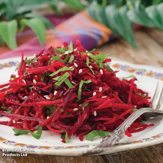 Beetroot 'Detroit' - Organic Seeds