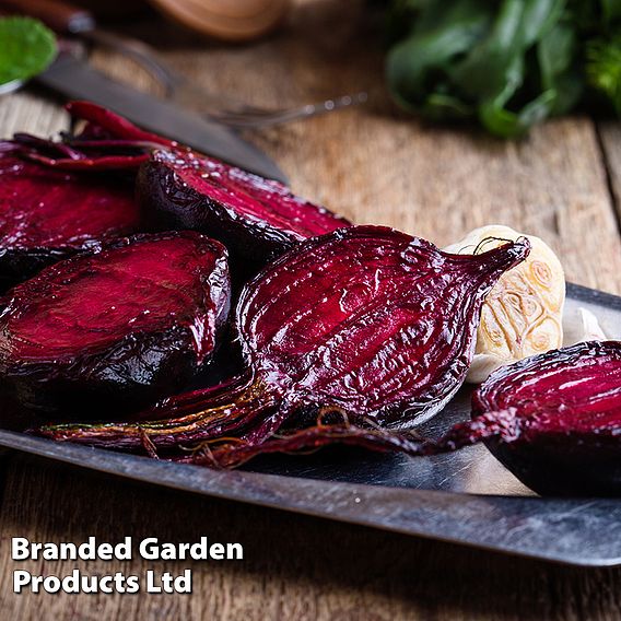 Beetroot 'Jolie' F1 - Seeds