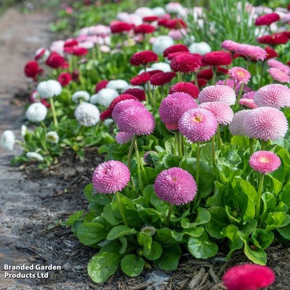 Winter Bedding Super Saver Collection