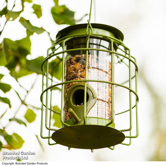 Happy Beaks - Mini Squirrel Proof Seed Feeder