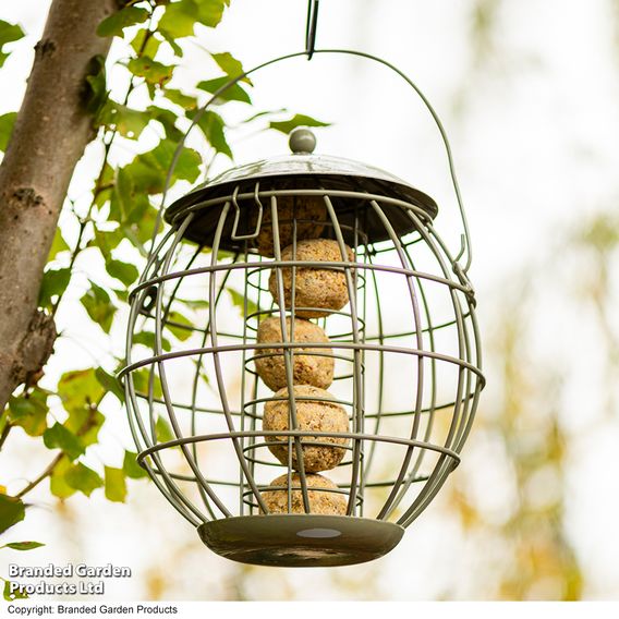 Happy Beaks - Orbital Squirrel Proof Feeder Collection