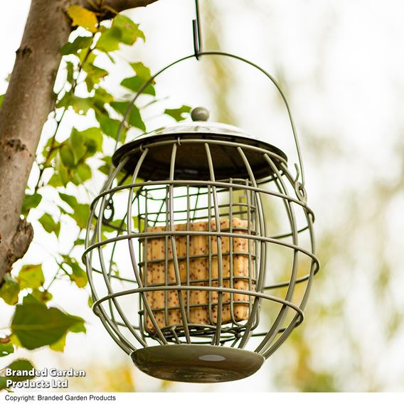 Happy Beaks - Orbital Squirrel Proof Feeder Collection