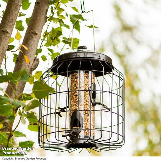 Happy Beaks - Heavy Duty Squirrel Proof Seed Feeder