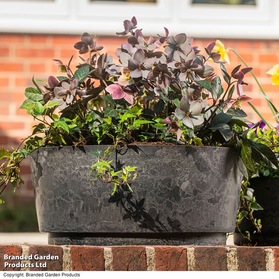 Garden Gear - Caesar Marble Effect Charcoal Bowl Planters
