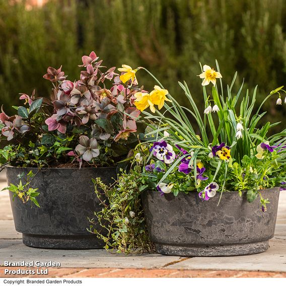 Garden Gear - Caesar Marble Effect Charcoal Bowl Planters