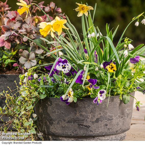 Garden Gear - Caesar Marble Effect Charcoal Bowl Planters