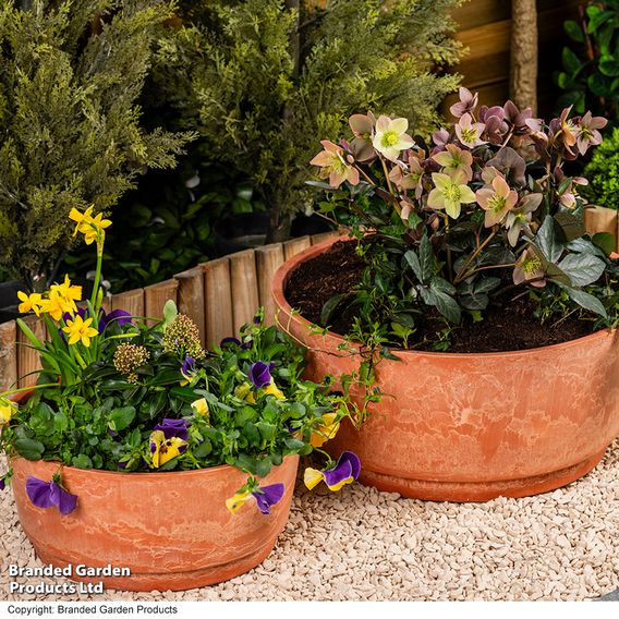 Garden Gear - Caesar Marble Effect Terracotta Bowl Planters