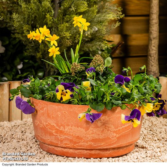 Garden Gear - Caesar Marble Effect Terracotta Bowl Planters